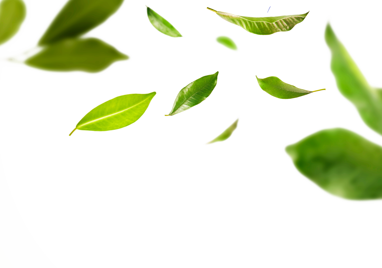 image-text